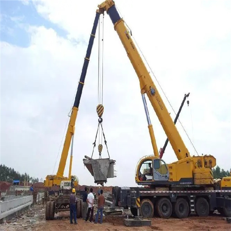 丰城小型吊机出租电话|厂房设备吊装方案|24小时服务覆盖